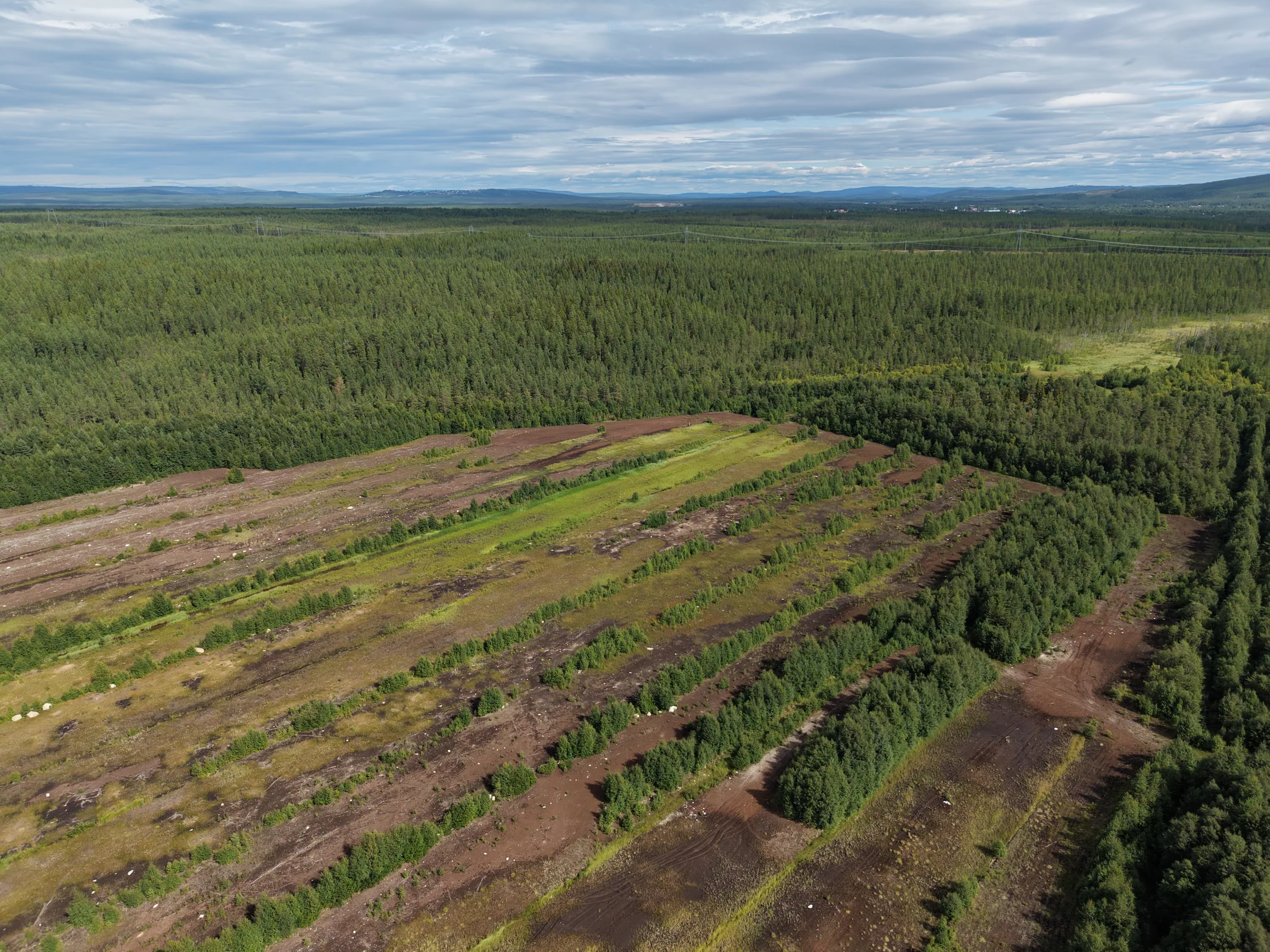 Storflon peatland aerial photograph 6