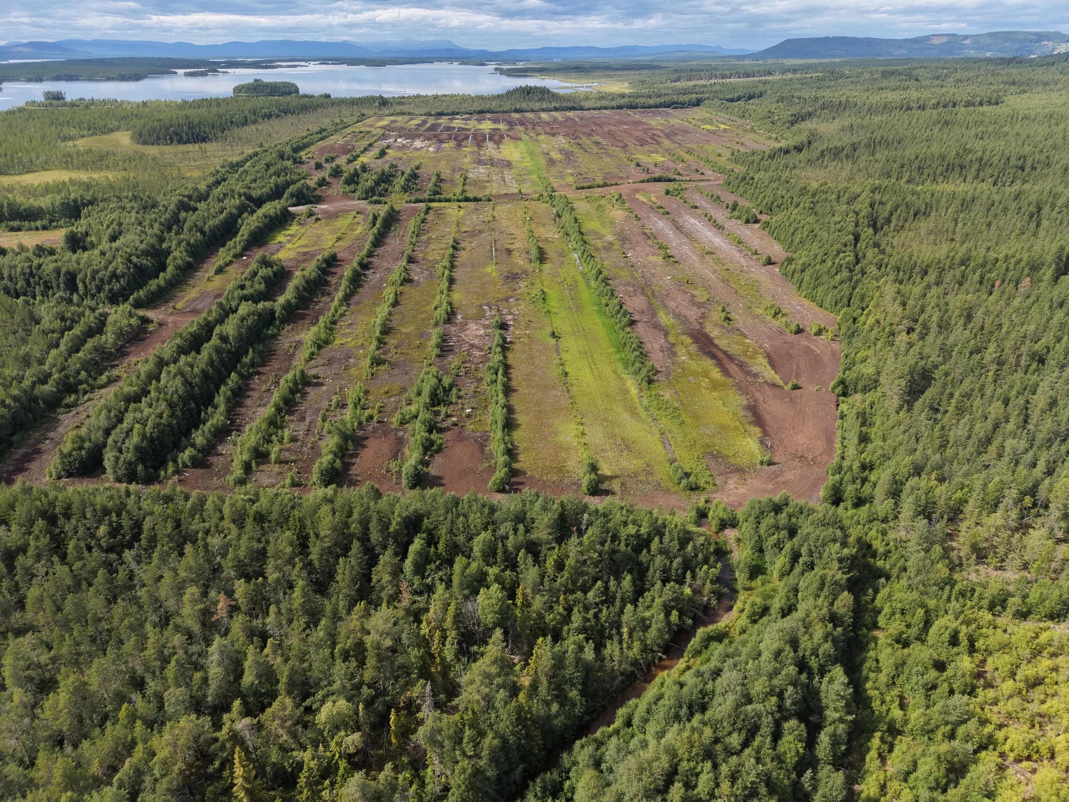 Storflon peatland aerial photograph 8