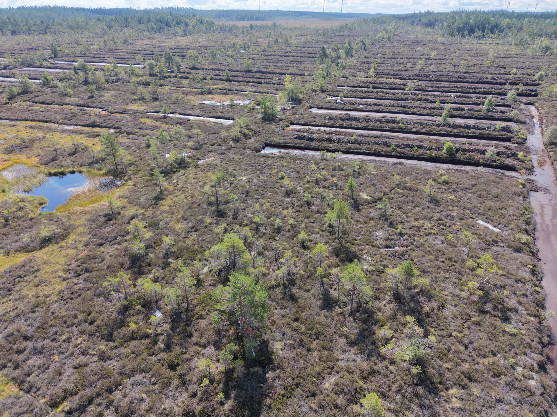 Baremossen peatland aerial photograph 2