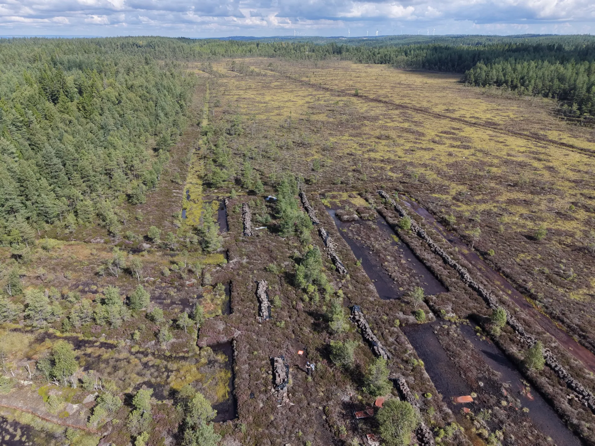 Baremossen peatland restoration project