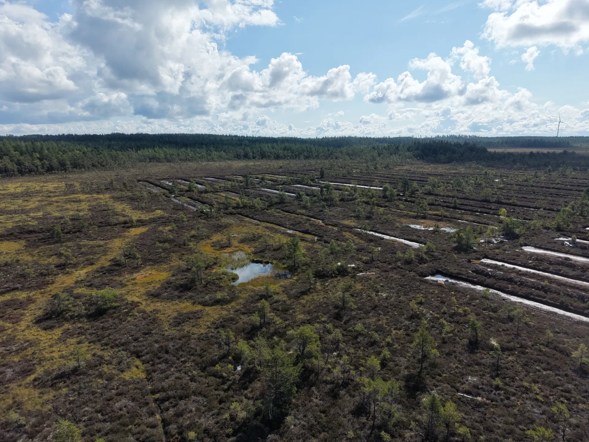 Baremossen peatland aerial photograph 5