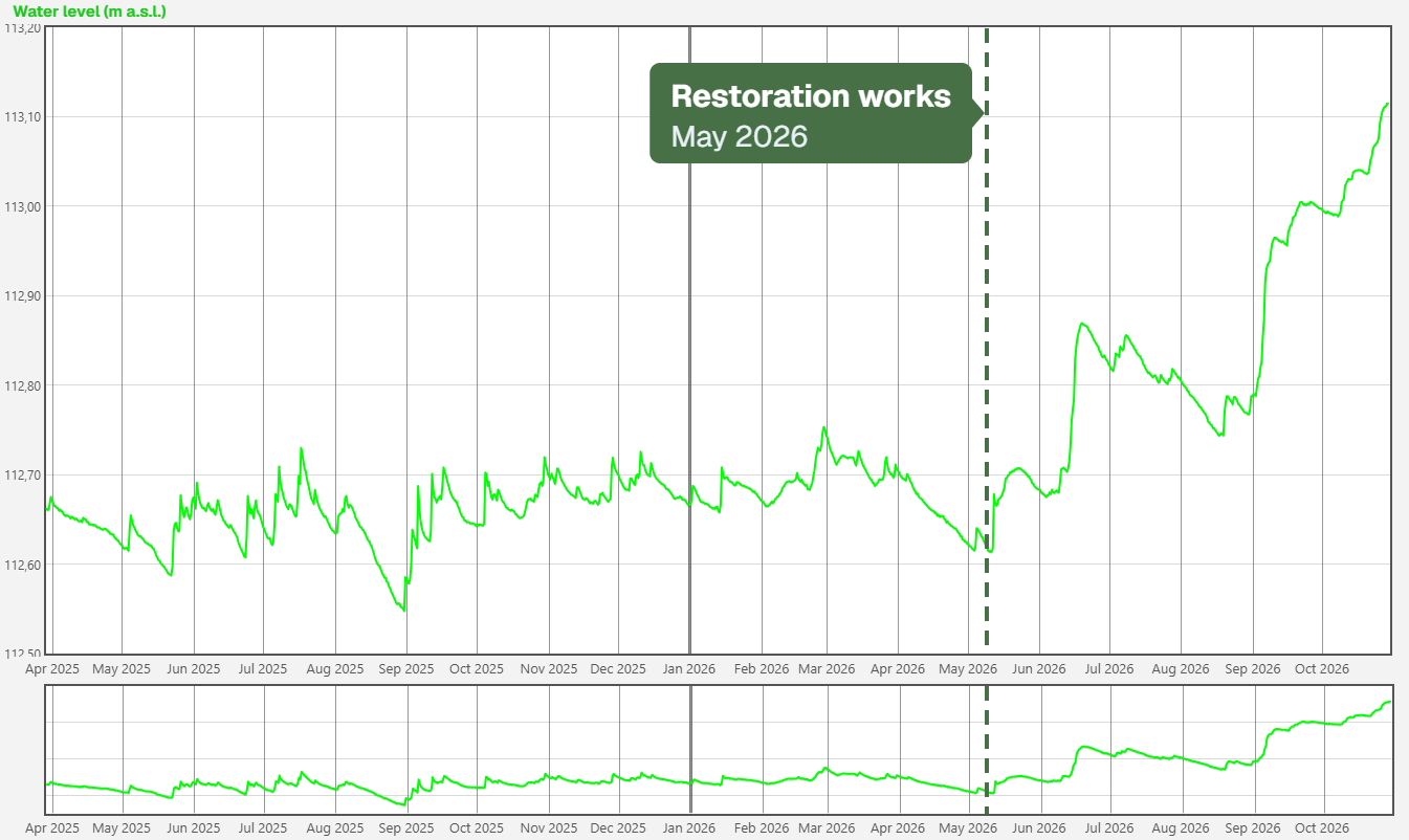 Water level chart from a data logger, April 2025 to October 2026, with a marker in May 2026 when restoration works were carried out; the water level rises clearly afterwards