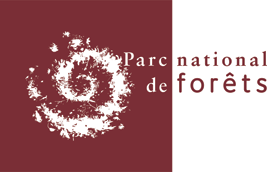 Parc national de forêts