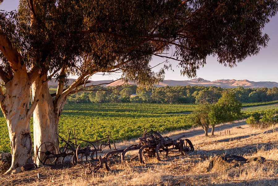 Winemakers Dinner John Duval 24.september