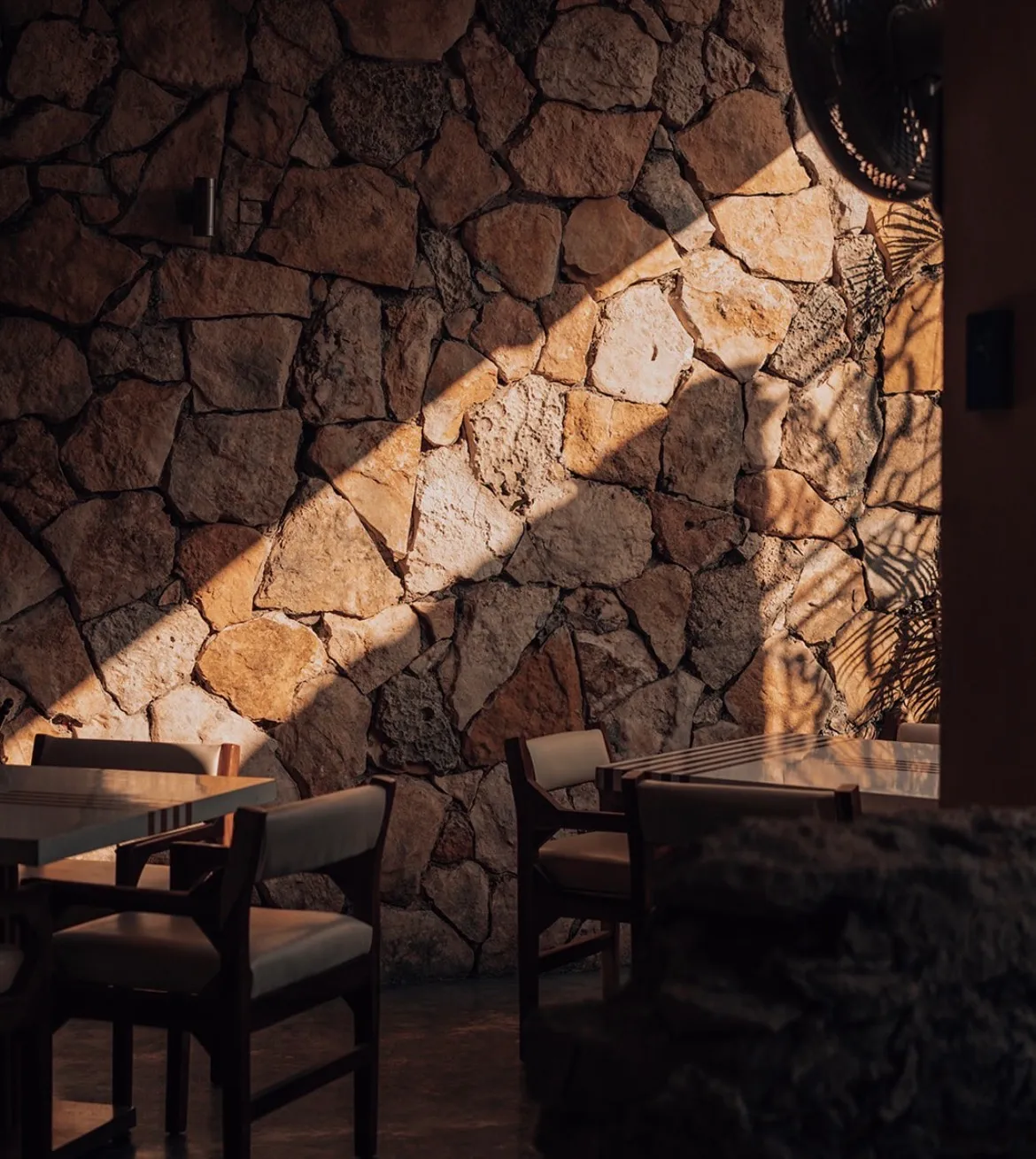 Los Restaurantes Más hermosos de Cozumel