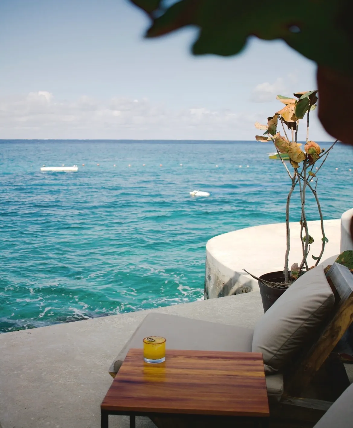 Los Restaurantes Más hermosos de Cozumel