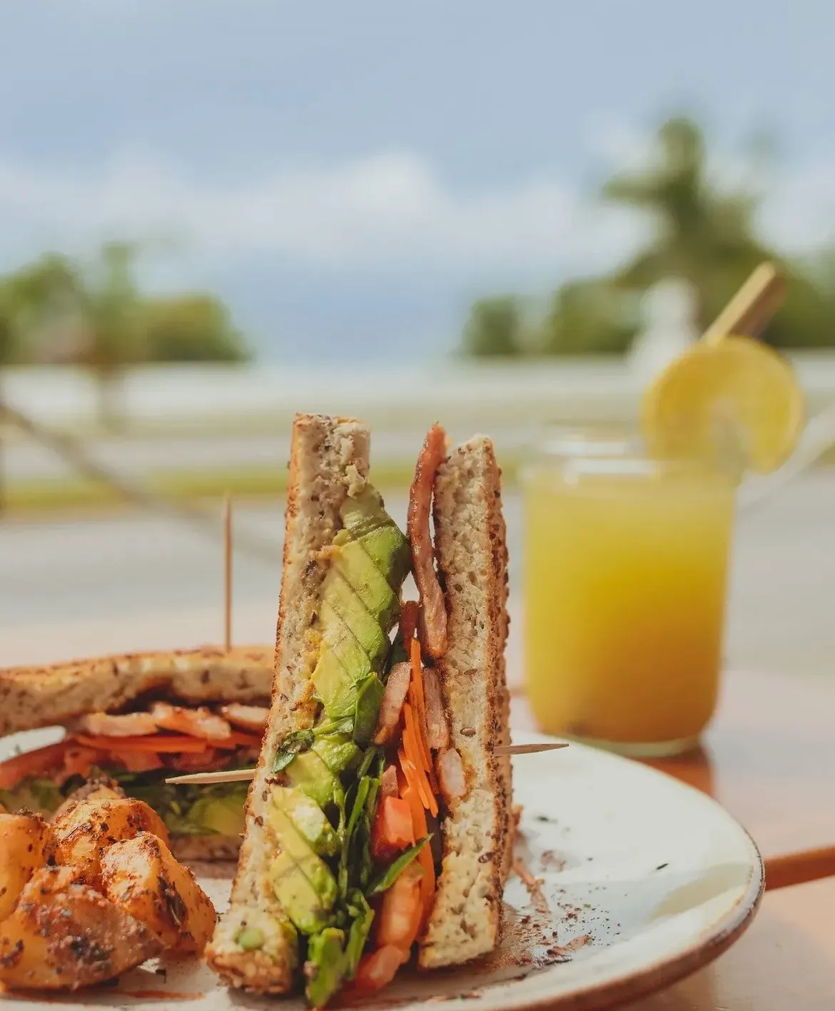 Aterrizaje en Cozumel: Tu primer día en la isla
