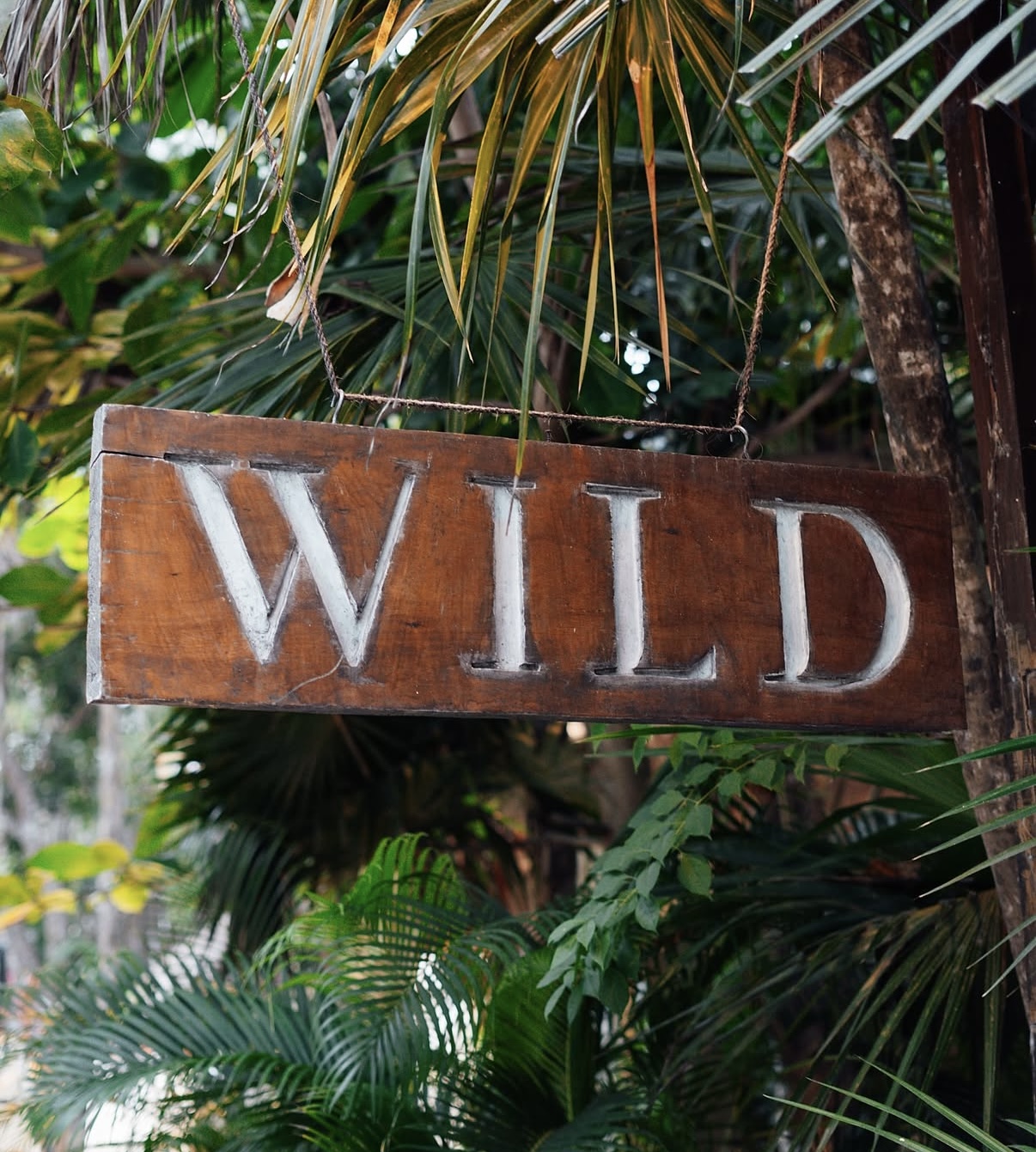 WILD Tulum