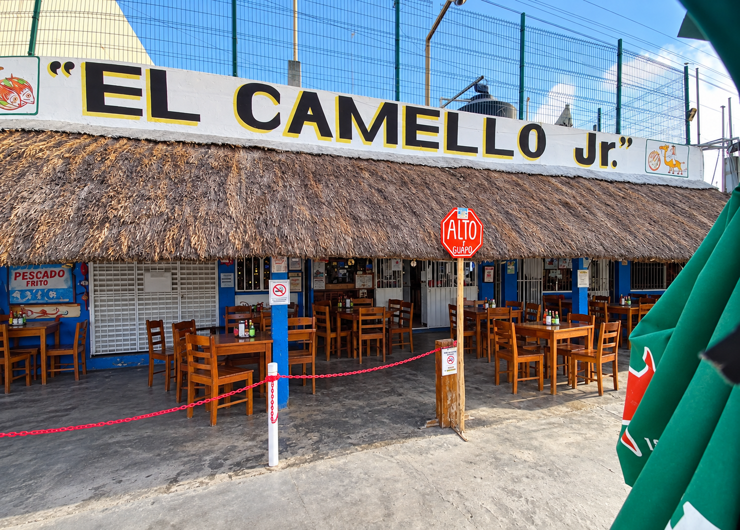 El Camello Jr.
