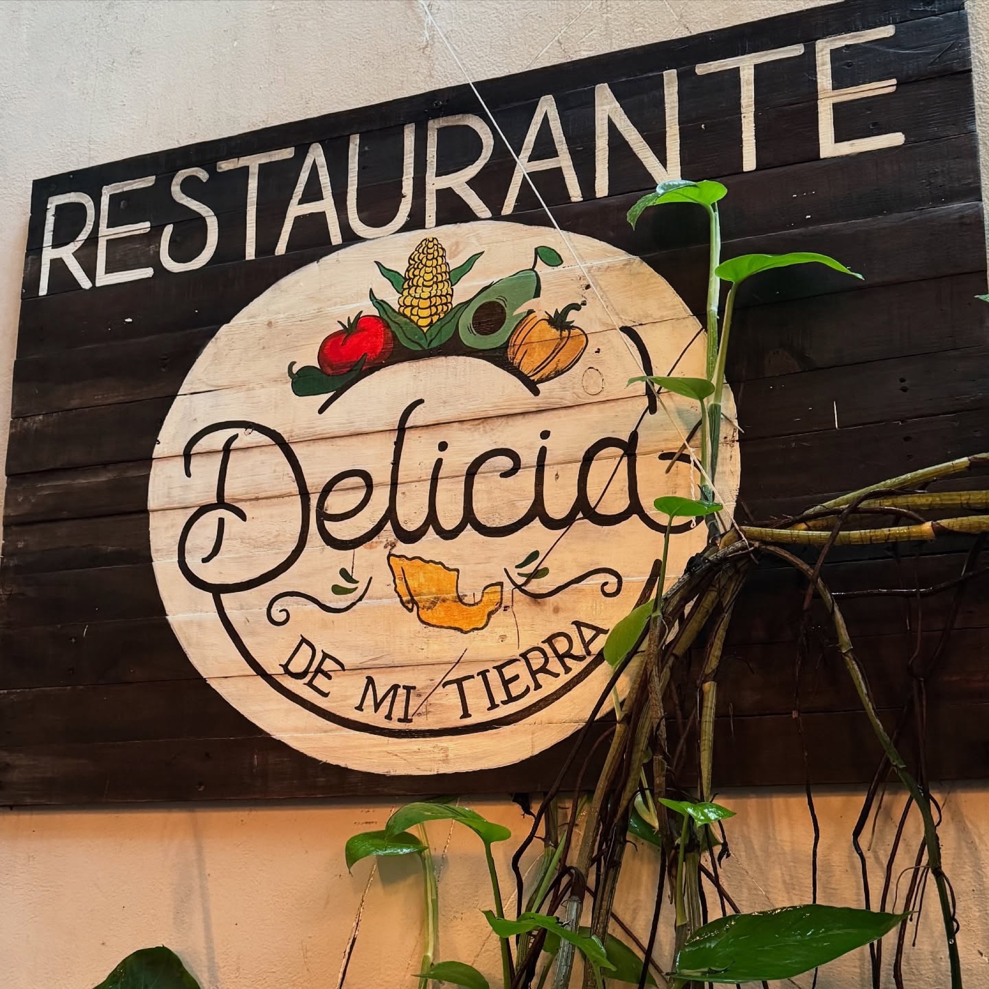 Delicia de mi Tierra