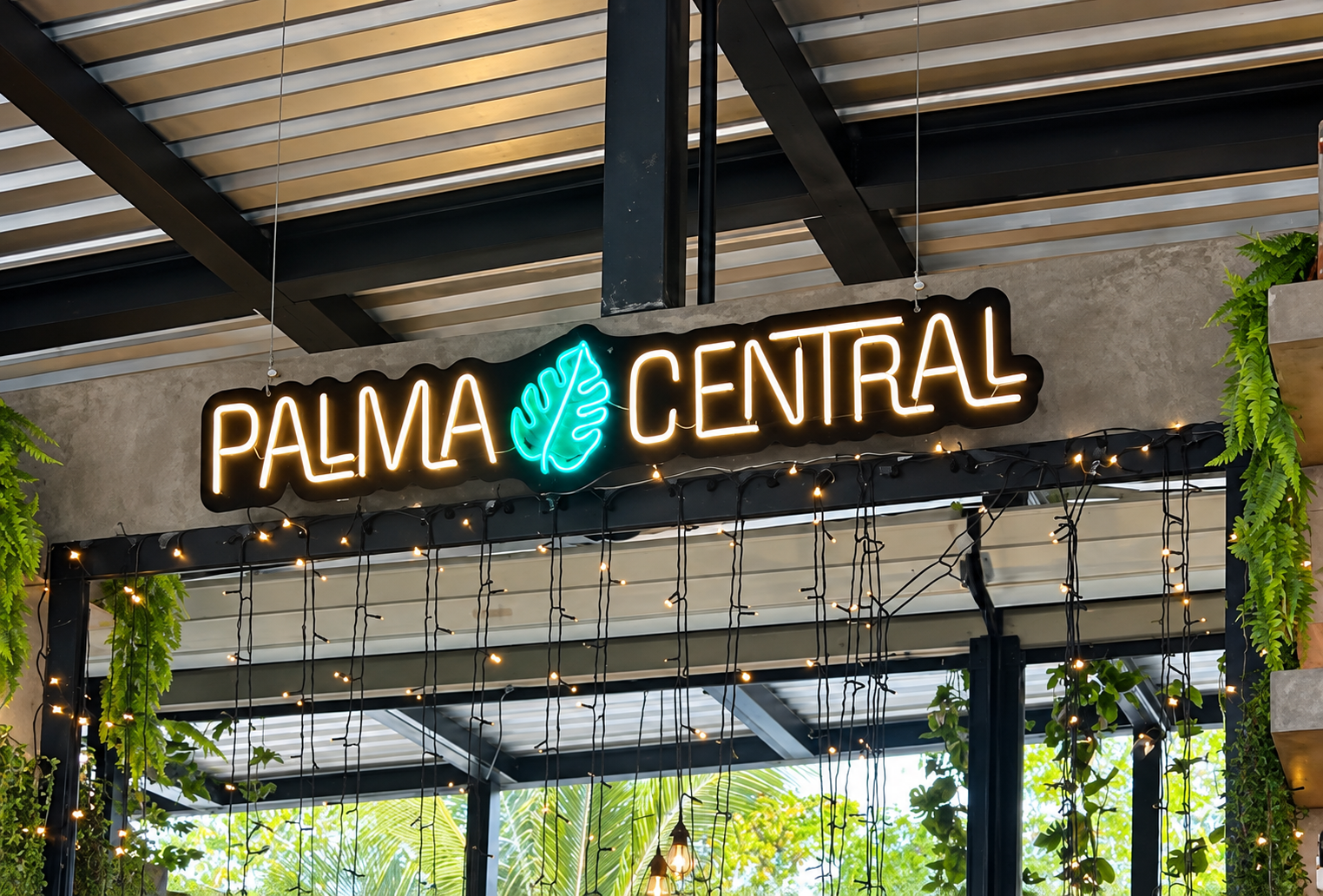 Palma Central