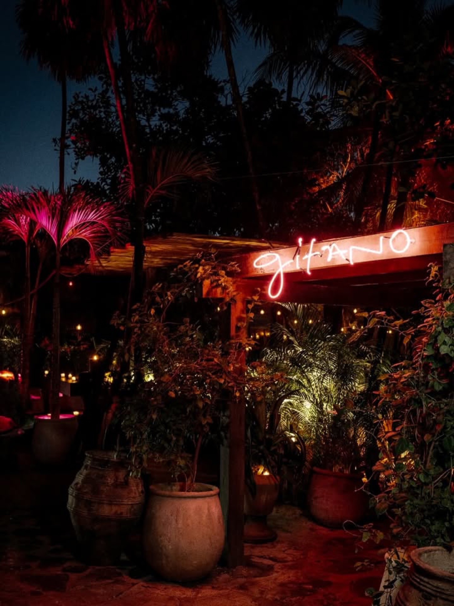 Gitano Jungle
