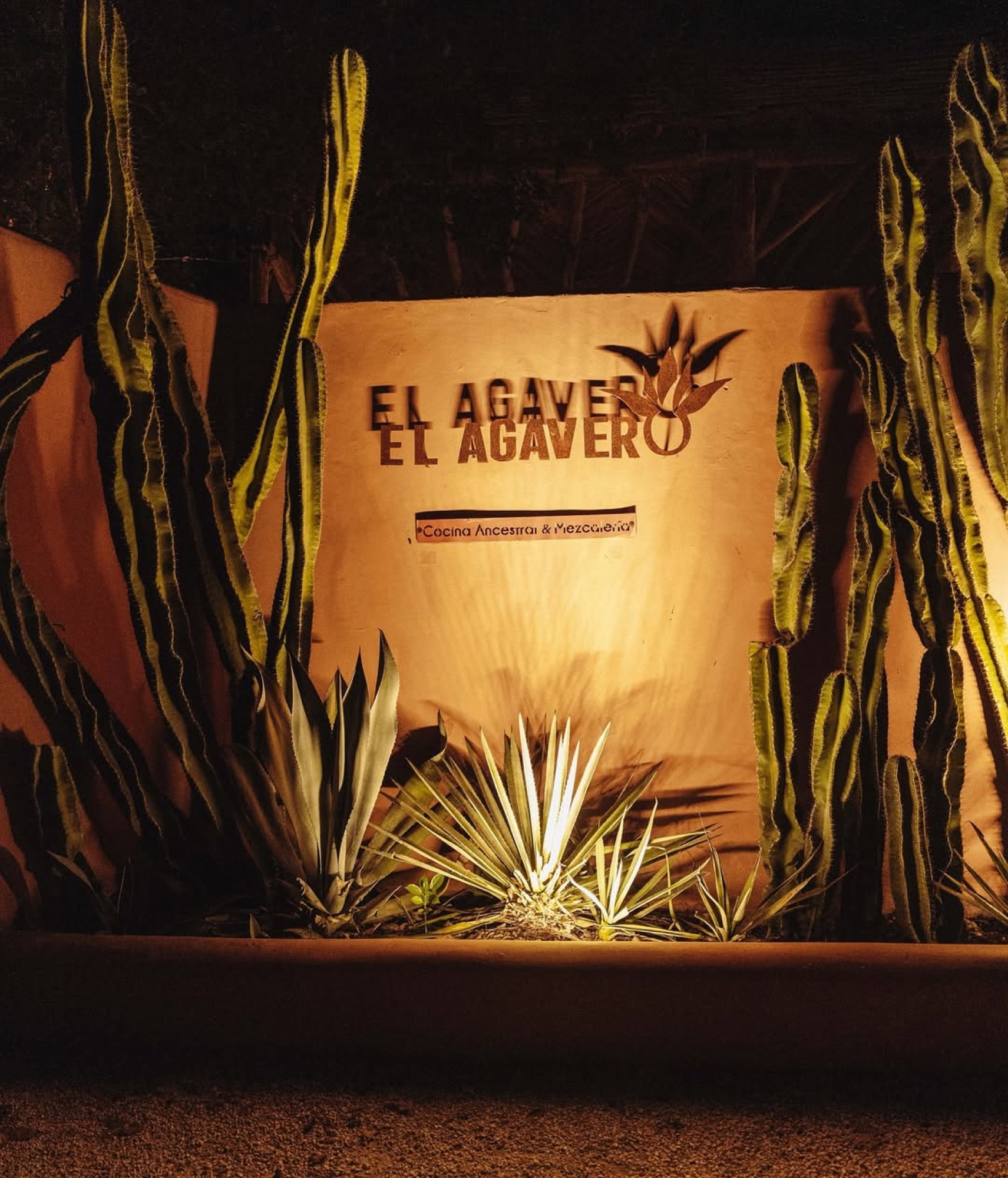 El Agavero