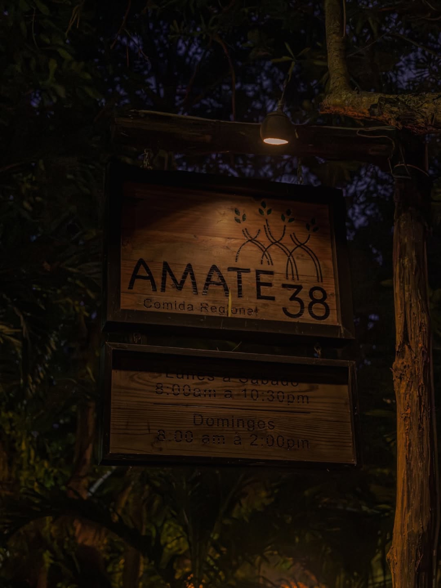 Amate 38