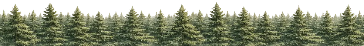 Row of green pine trees with a transparent background.