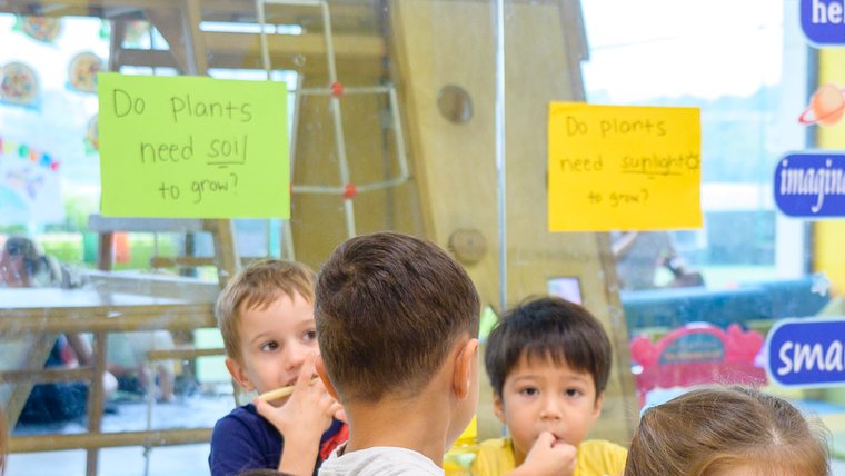 Two handwritten cards taped to a classroom window. One reads: Do plants need soil to grow? The other reads: Do plants need sunlight to grow?
