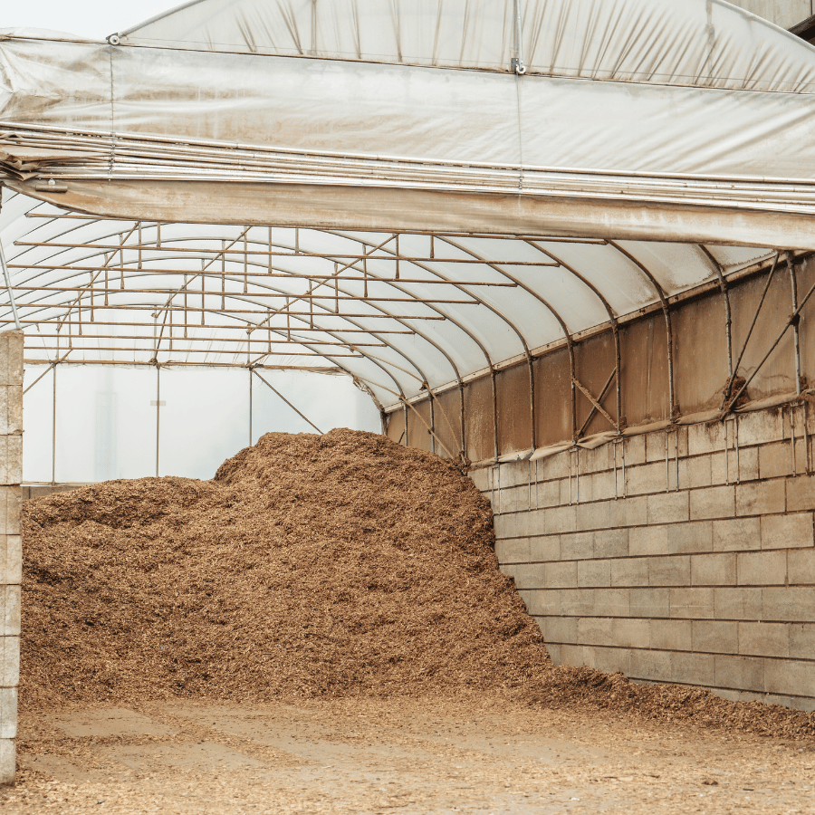 Séchage solaire dans des serres des plaquettes bois