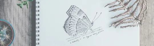 Sketchbook page with a detailed black-and-white drawing of a butterfly, placed on a wooden surface with dried fern leaves and a potted cactus nearby.