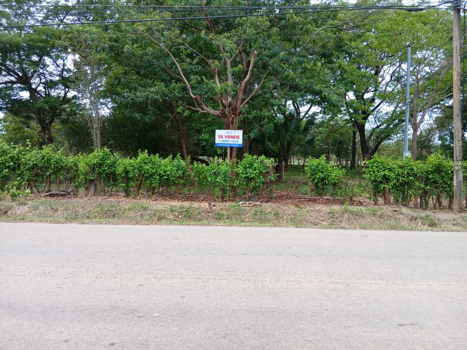 Terreno en Ortega de Santa Cruz 