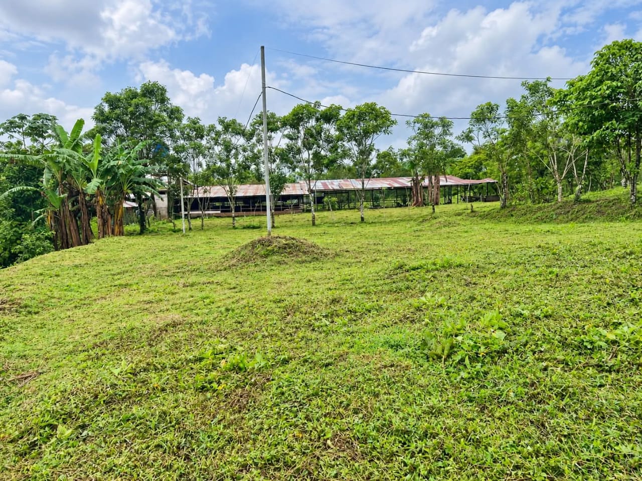 Finca en Cutris de San Carlos