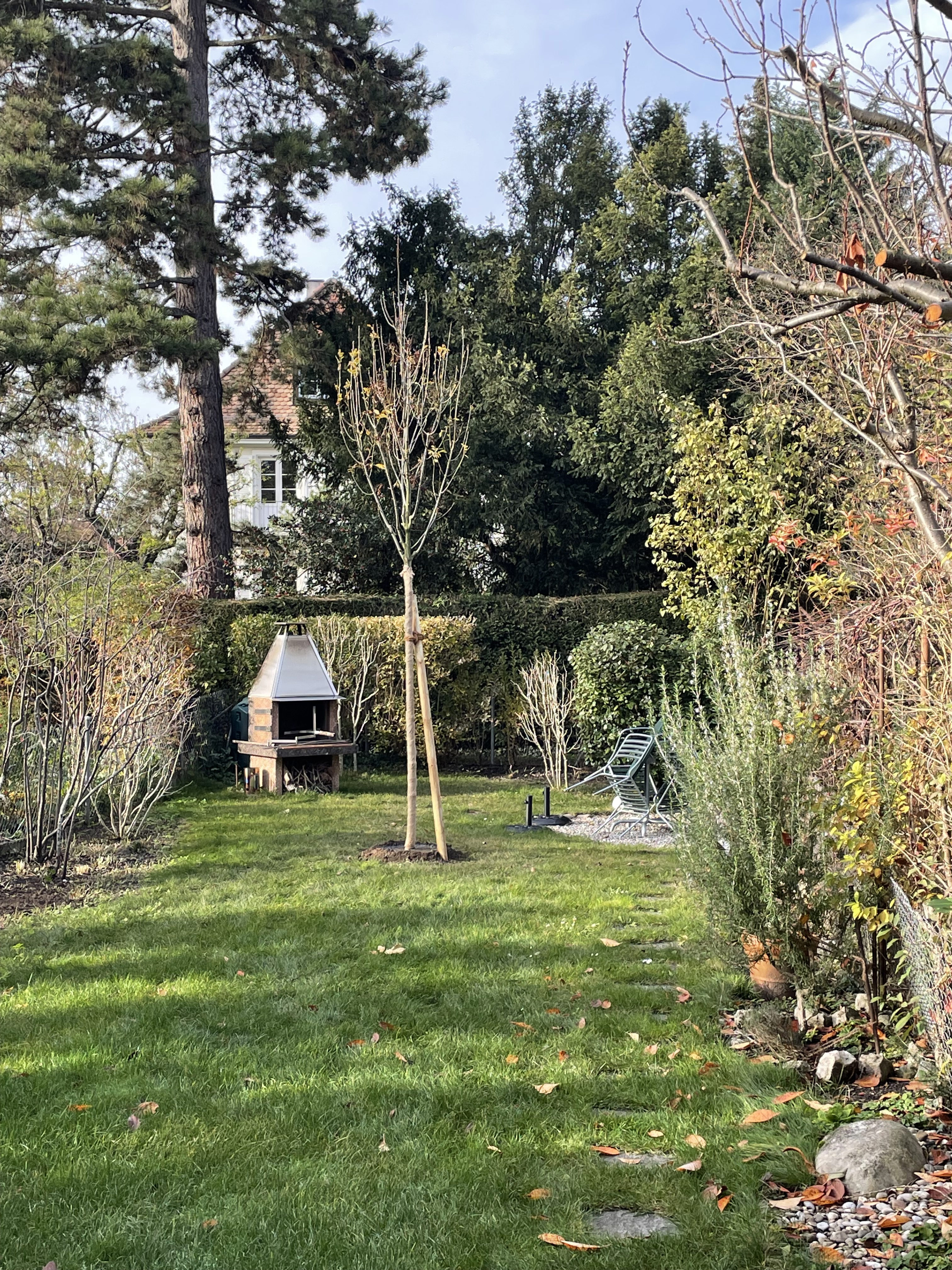 Zwei Gärtner betrachten einen Garten. Sie sind umgeben von vielen Büschen und Bäumen.