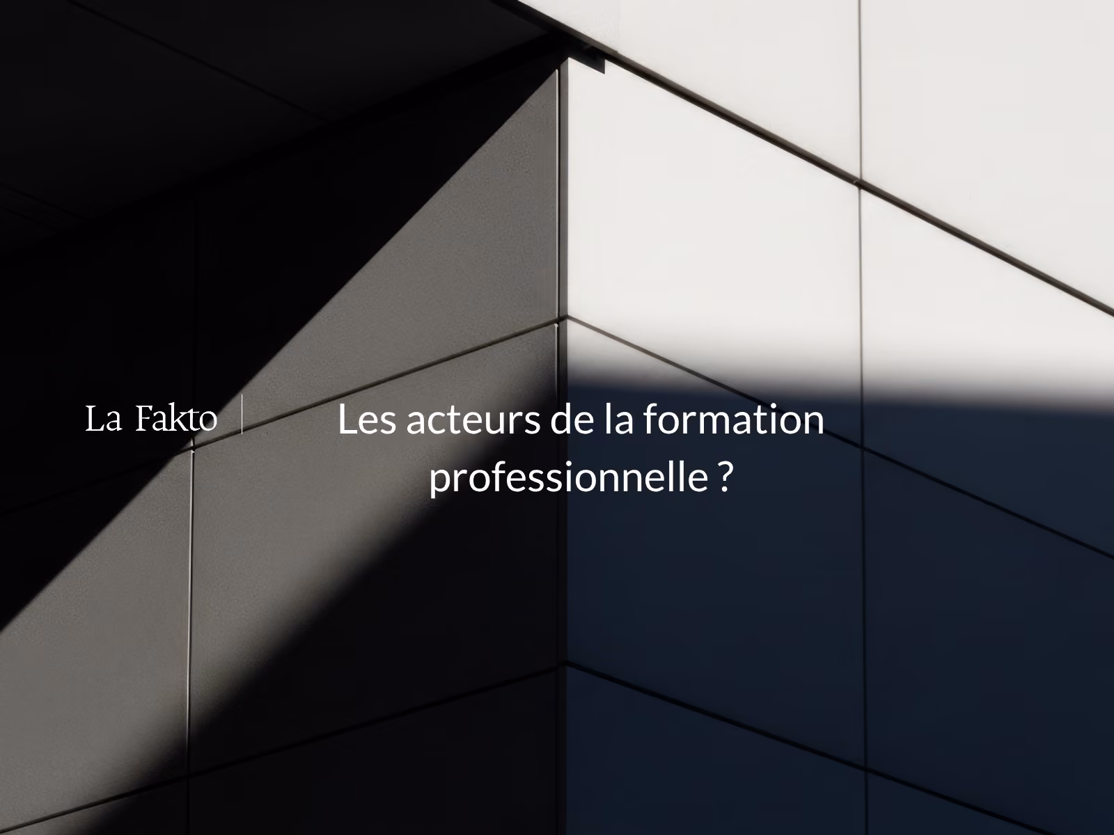 Les acteurs de la formation professionnelle