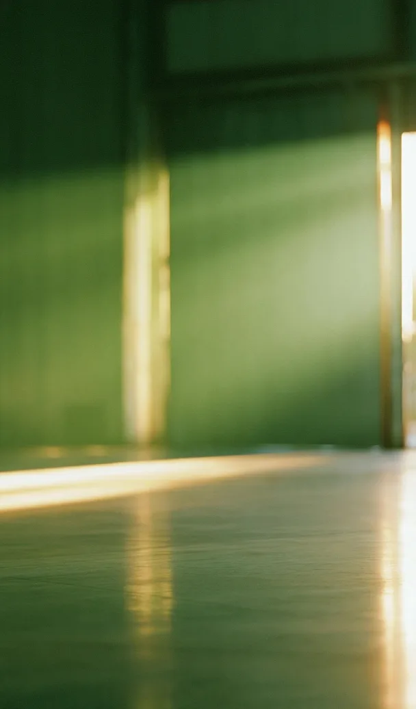 Sunlight falling across the polished floor of an empty green warehouse