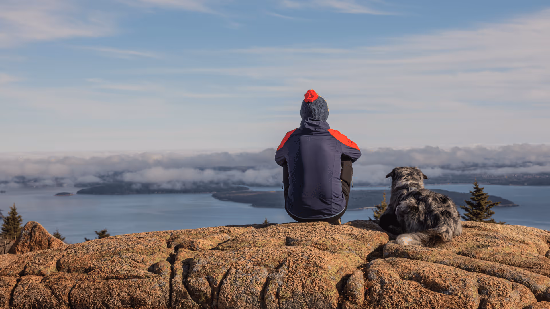 person sitting on mountain overlooking ocean with dog