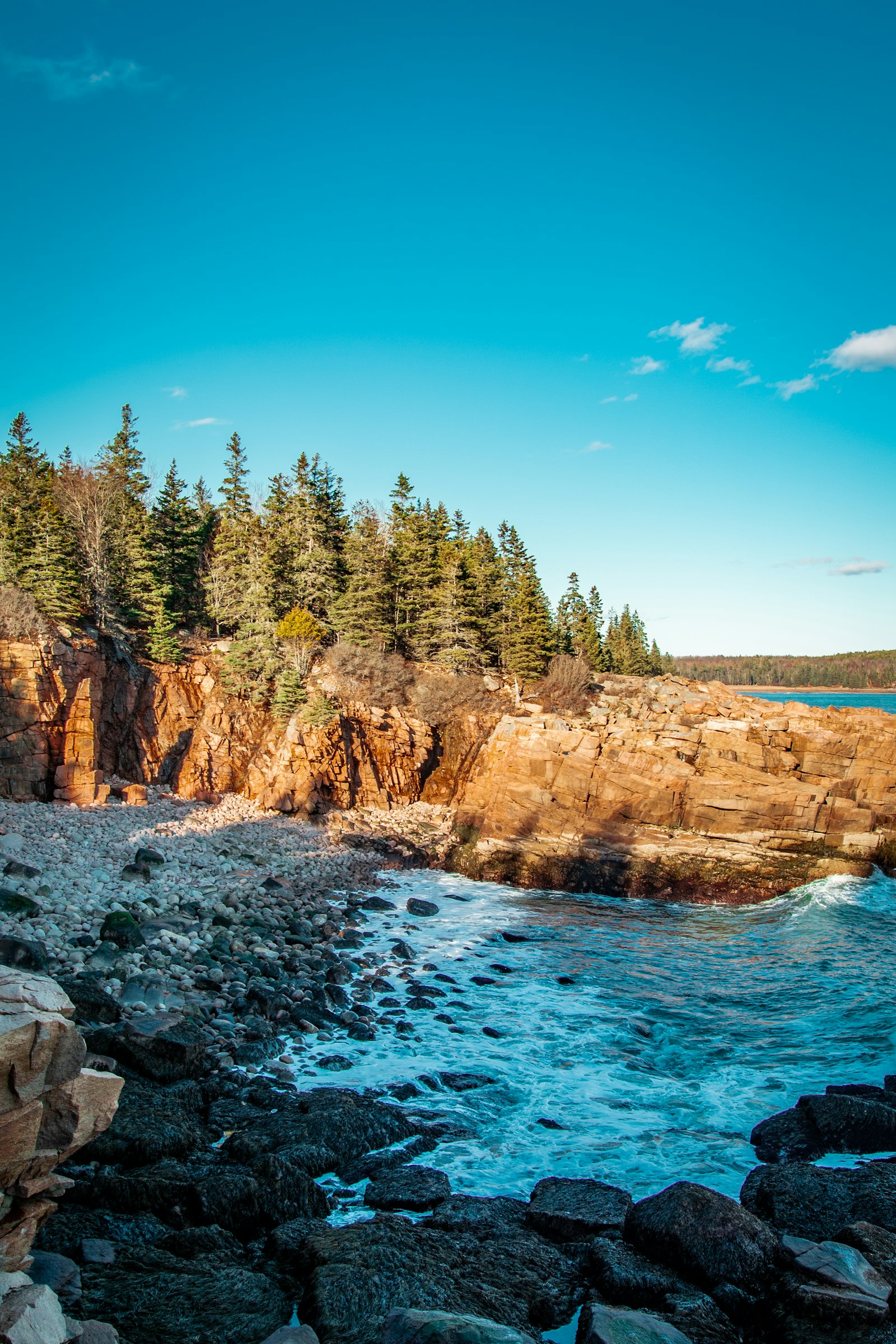 Acadia National Park coastline with forest and ocean views on a day-long e-bike ride