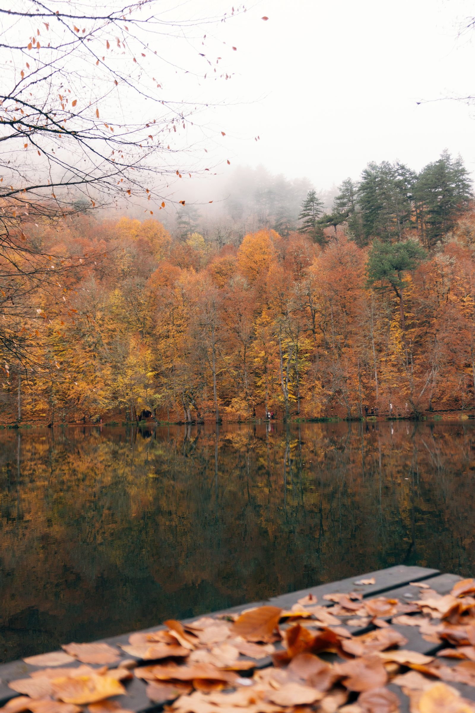 E-bike on an Acadia carriage road surrounded by bright autumn foliage reflected in a lake