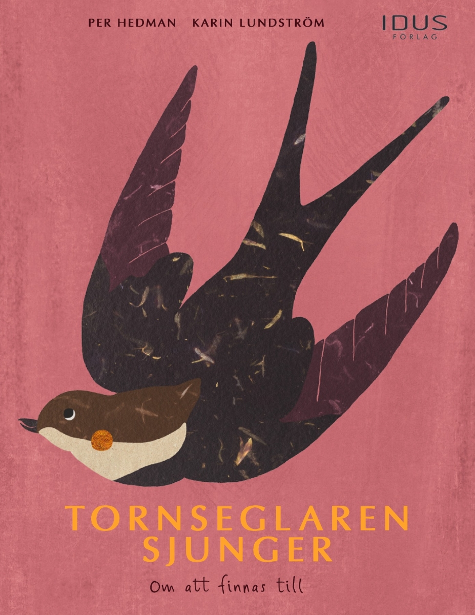 Tornseglaren sjunger : om att finnas till