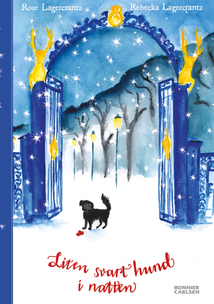 Liten svart hund i natten