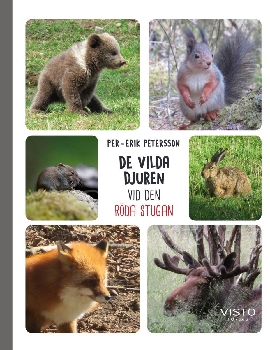 De vilda djuren vid den röda stugan