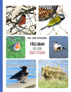 Fåglarna vid den röda stugan