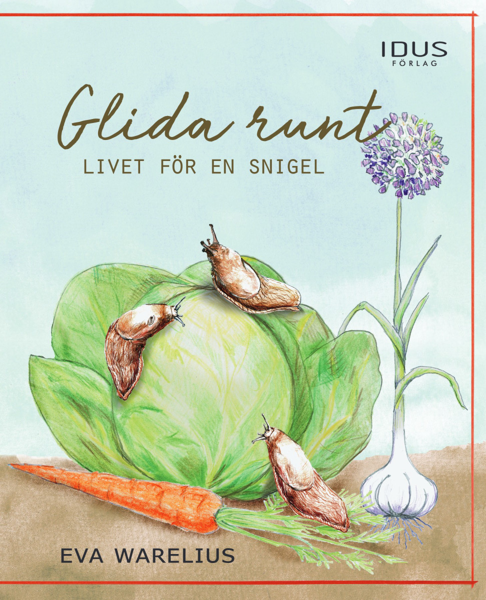 Glida runt – Livet för en snigel