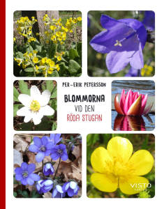 Blommorna vid den röda stugan