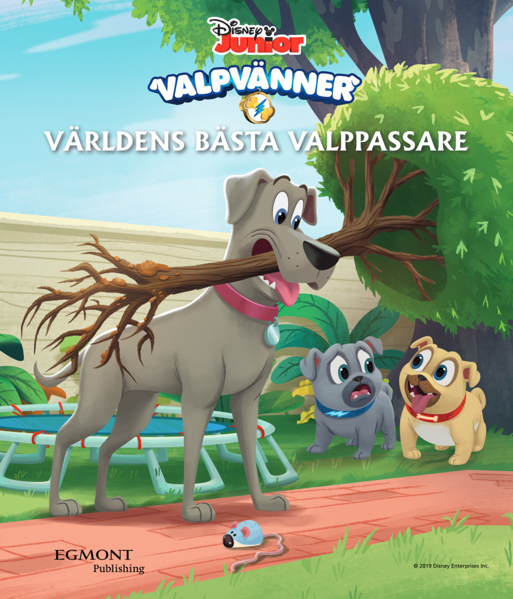 Valpvänner - Värdens bästa valppassare