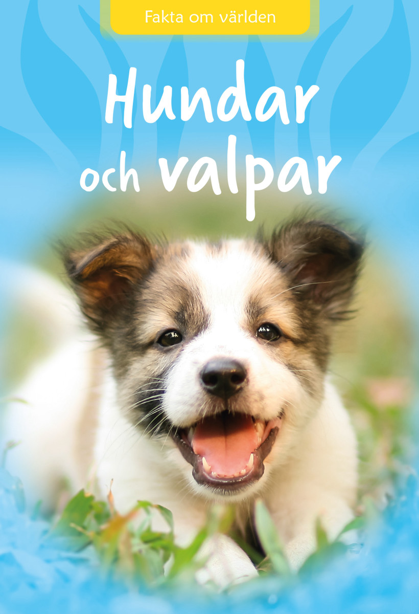 Hundar och valpar