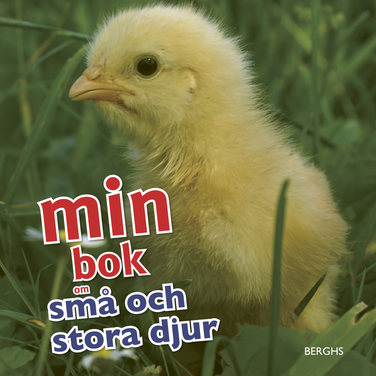 Min bok om små och stora djur