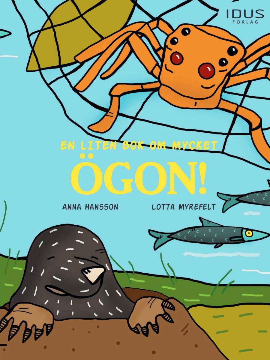 En liten bok om mycket ögon!