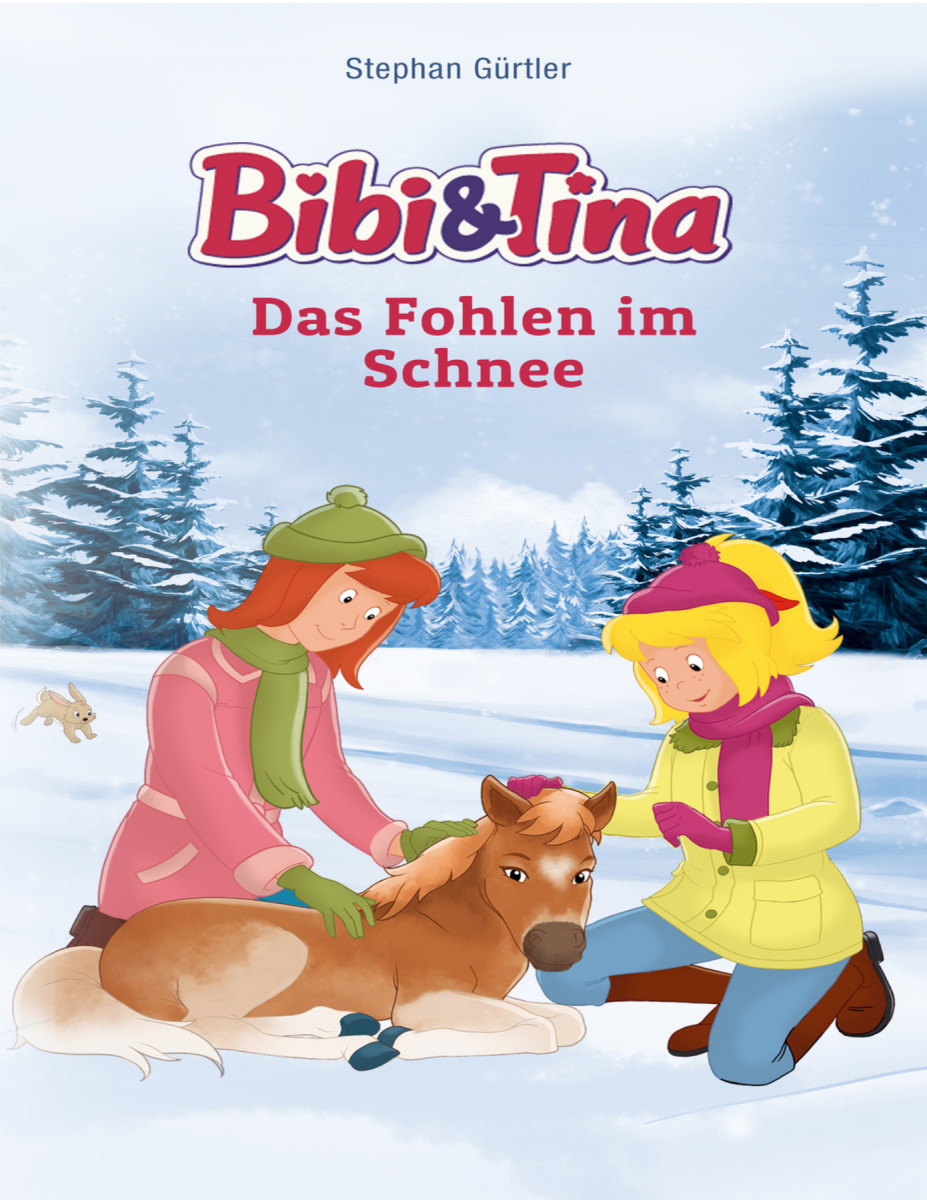 Bibi & Tina: Das Fohlen im Schnee