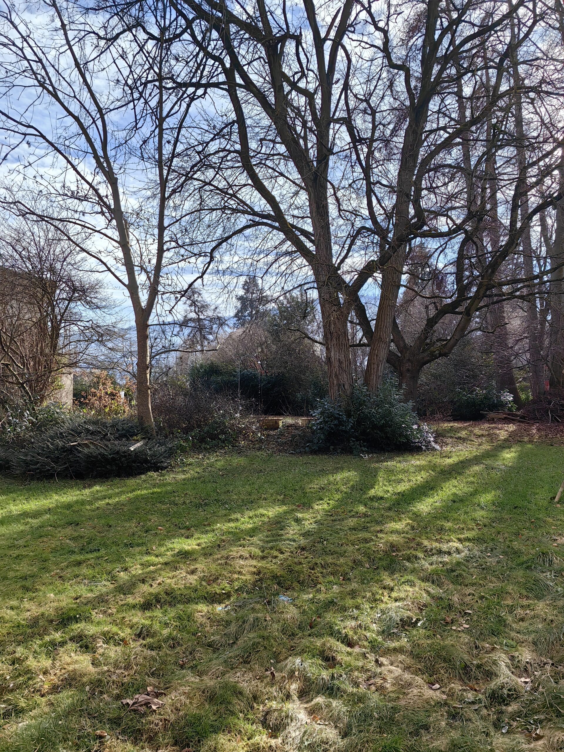 Goldach Wohnen im Park Entwicklungsstart