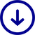 Download Icon