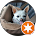 User rating