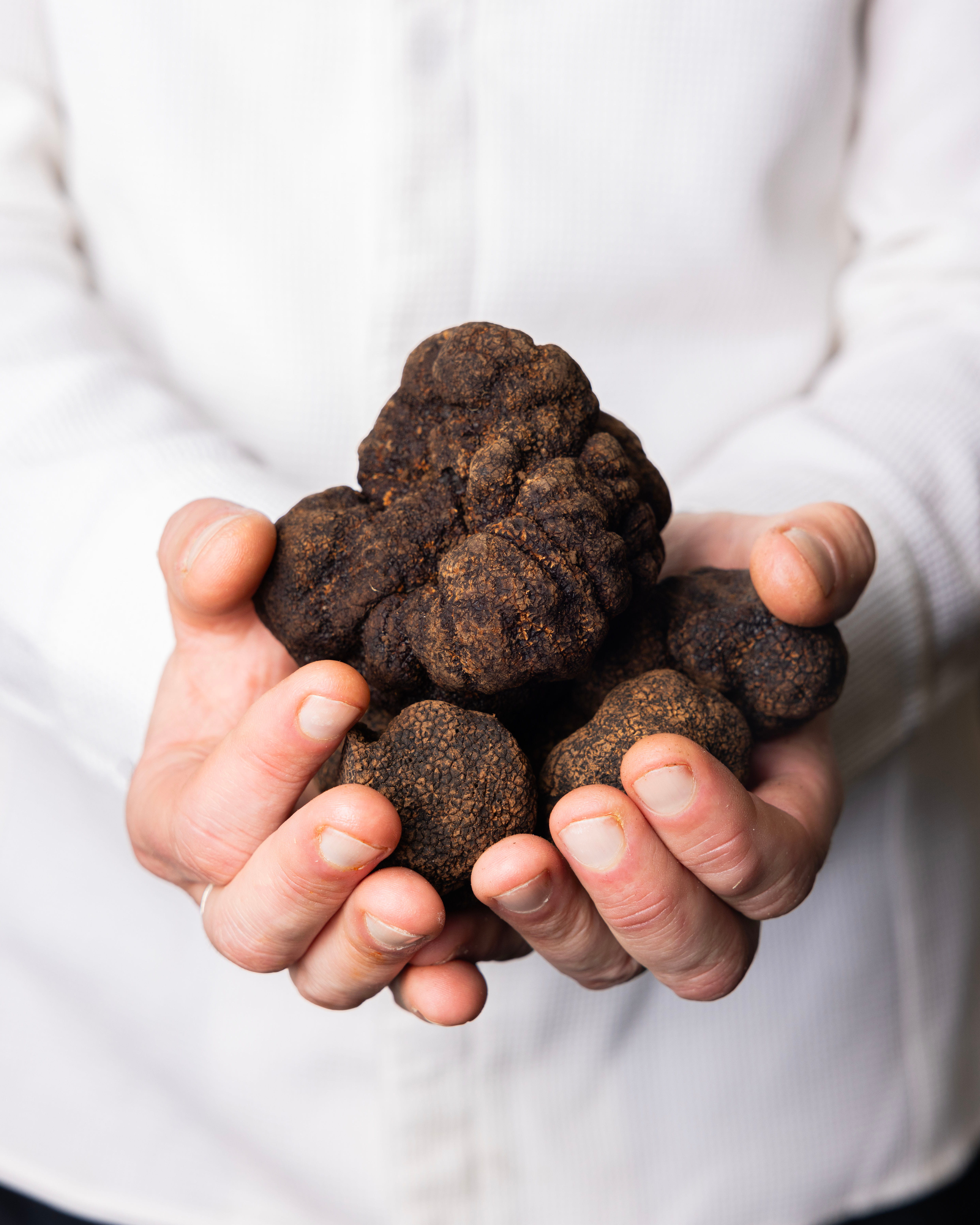 Vittorio Beltramelli