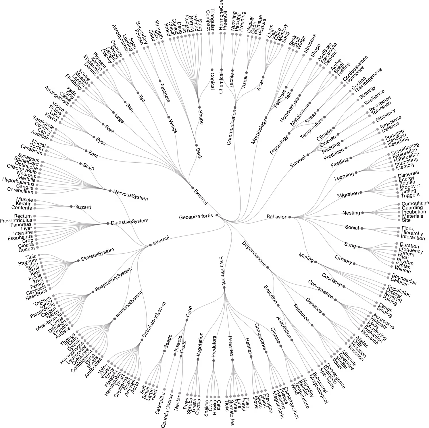 Diagram mapping the ecosystem of forces surrounding Darwin's finches — food sources, climate, terrain, competition, and behavior — representing context as a structural system