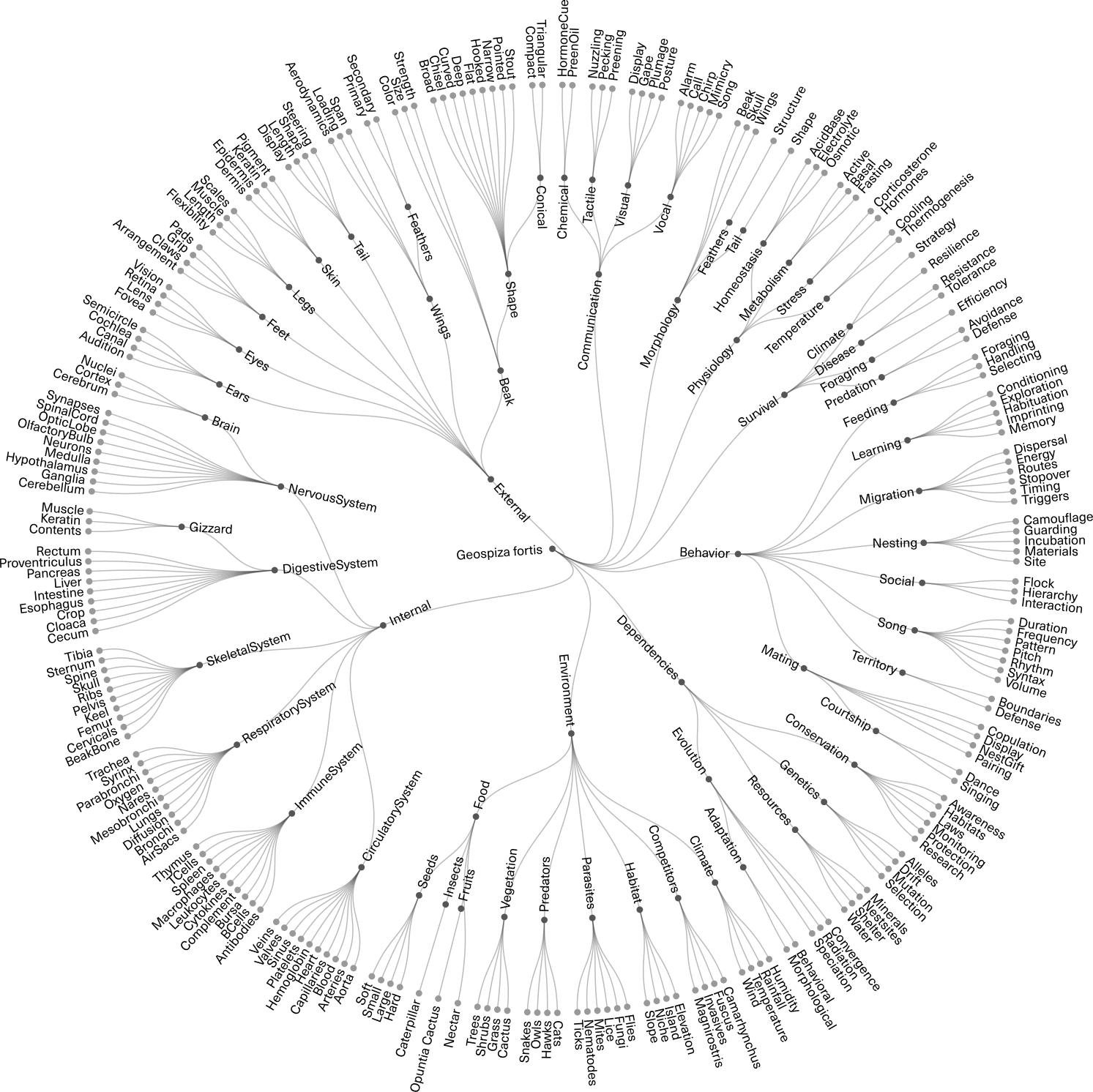 Diagram mapping the ecosystem of forces surrounding Darwin's finches — food sources, climate, terrain, competition, and behavior — representing context as a structural system