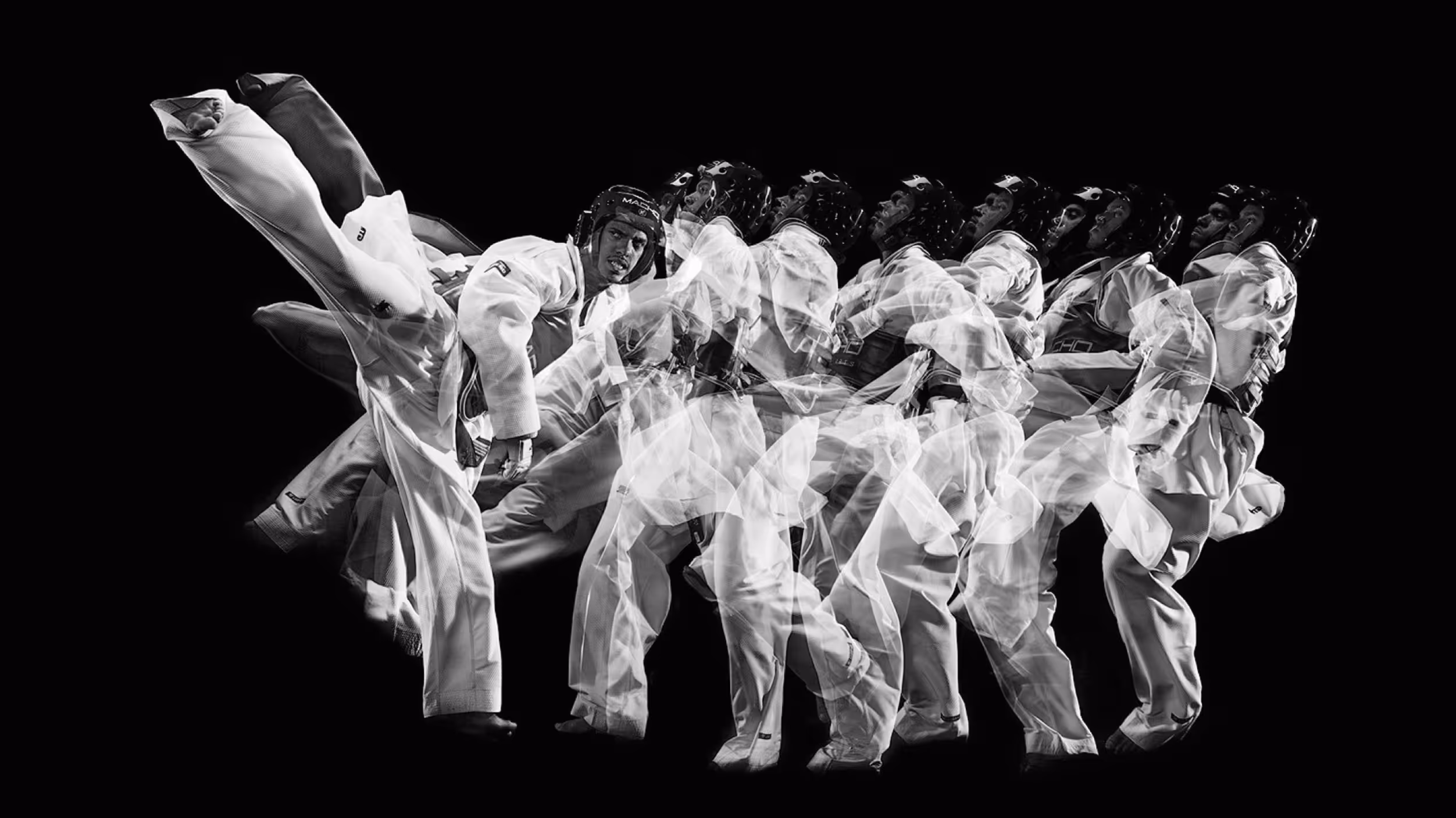Bare winter tree against white sky, showing full branching structure — roots, trunk, and canopy shaped entirely by environmental conditions including wind, light, soil, and surrounding vegetation.