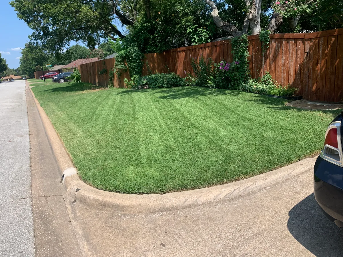 Freshly mowed residential corner lawn with landscaped border and wooden privacy fence