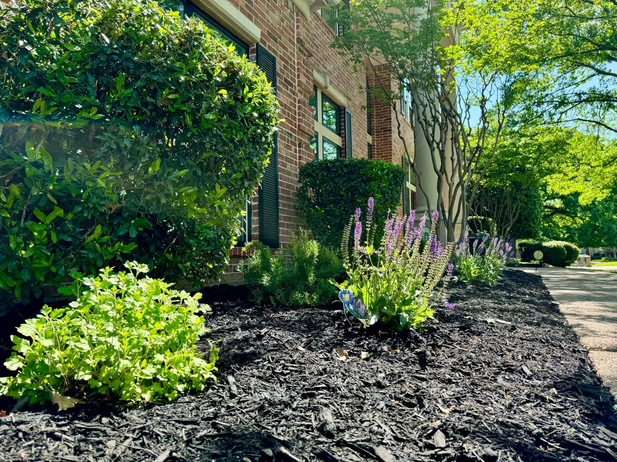 Freshly landscaped flower bed with shrubs, flowers, and dark mulch beside a home